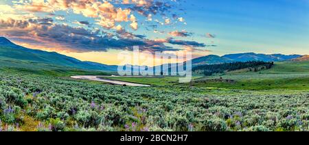 The sun rises over the Lamar Valley near the northeast entrance of Yellowstone National Park in Wyoming. Stock Photo
