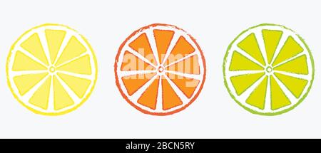 Three citrus fruit slices vector drawing Stock Vector