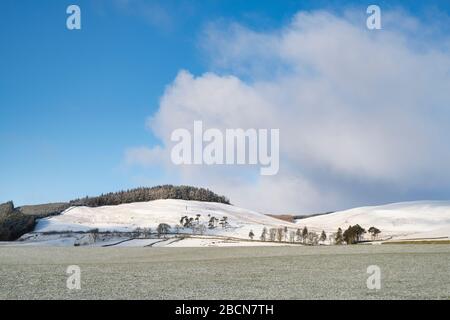 Snow covered countryside. Scottish borders. Scotland Stock Photo