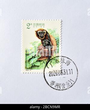 CHINA - CIRCA 2002: A stamps printed in China shows Gibbons -  Hylobates hoolock, circa 2002. Stock Photo