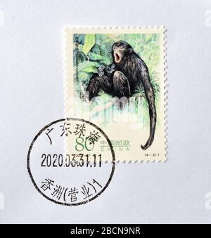 CHINA - CIRCA 2002: A stamps printed in China shows Gibbons -  Hylobates concolor, circa 2002. Stock Photo