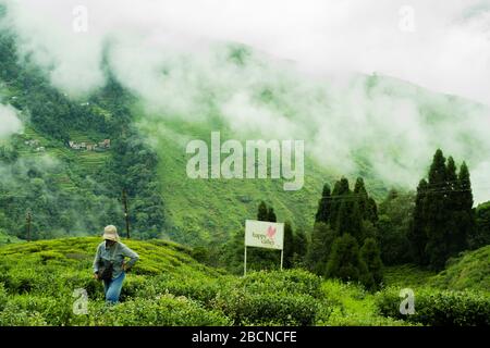 Darjeeling is a town in India's West Bengal state, in the Himalayan foothills. Once a summer resort for the British Raj elite Stock Photo