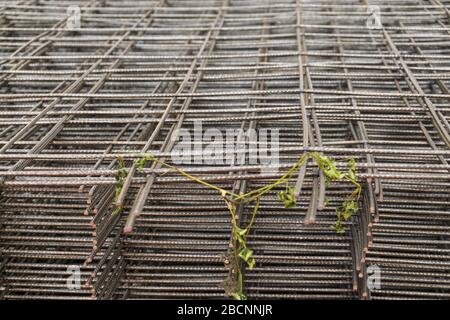 RB Metal round bar grill make floor building Stock Photo