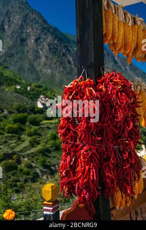 Chilies and corn drying on a roof in the Tibetan village of Suopo in the former Kham kingdom now part of Danba, Sichuan Province, China. Stock Photo