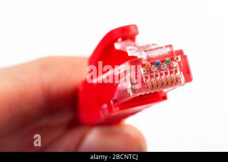 8P8C, RJ-45 crimped red ethernet modular connector, unshielded twisted pair UTP internet cable end in hand, macro, detail, closeup. Individual cables Stock Photo