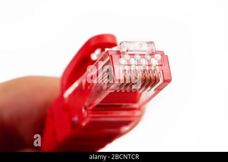 8P8C, RJ-45 crimped red ethernet connector, unshielded twisted pair UTP internet cable end in hand, macro, detail, closeup. Individual cables visible Stock Photo