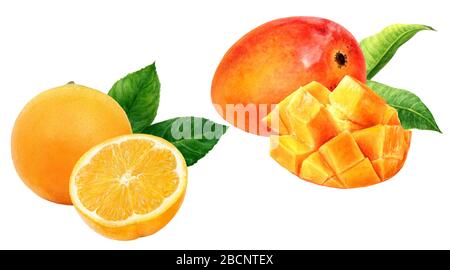 Mango orange fruit watercolor isolated on white background Stock Photo
