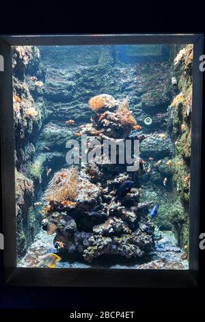 Aquarium in Warsaw Zoo Zoological Garden in Warsaw, Poland Stock Photo