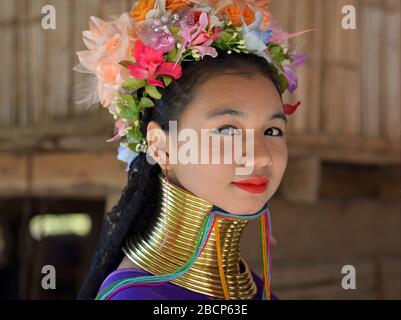 Pretty Thai/Burmese long-neck Kayan teenage girl (“giraffe woman”) with tribal Padaung brass neck rings/coils poses for the camera. Stock Photo