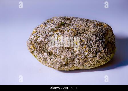 a sharp shot  of a stone with a blurred simple background Stock Photo