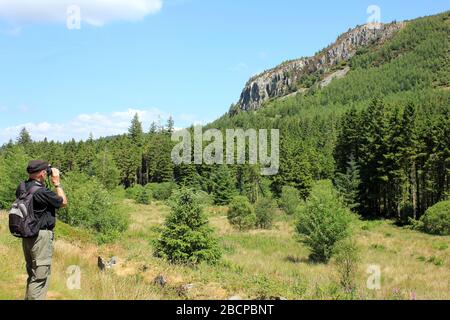 Birdwatching in Cwm Penamnen valley with the rocky crag of Carreg Alltrem, Gwydyr Forest Park, Dolwyddelan, Snowdonia National Park, Wales Stock Photo