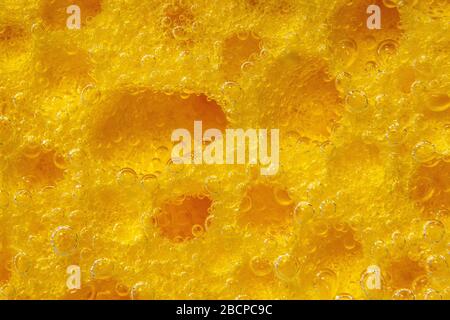 dishwashing sponge. Surface of yellow sponge for washing dishes. close-up underwater Stock Photo