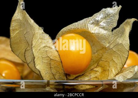 Close up cape gooseberry fruits Physalis peruviana .Commonly called goldenberry, goldenberry, Pichuberry. on black background Stock Photo