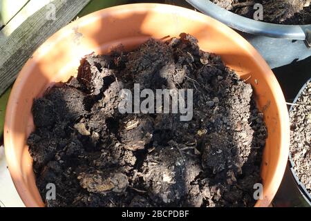 Home made compost Stock Photo