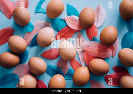 Chicken brown eggs and multicolored fluffy bird's feathers on light blue background. Happy Easter concept, flat lay composition. Top view. Stock Photo