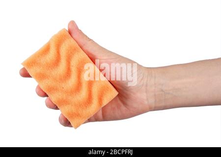 In hand a sponge for cleaning on a white background, workhouse concept. File contains clipping path. Stock Photo