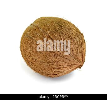 Single whole coconut isolated over the white background Stock Photo