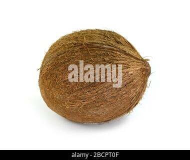 Single whole coconut isolated over the white background Stock Photo