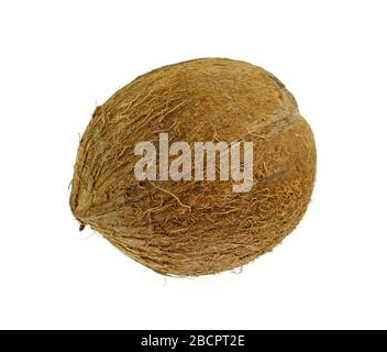 Single whole coconut isolated over the white background Stock Photo