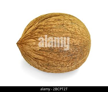 Single whole coconut isolated over the white background Stock Photo