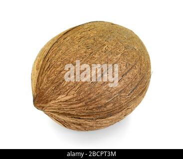 Single whole coconut isolated over the white background Stock Photo