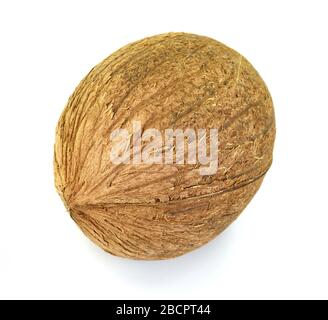 Single whole coconut isolated over the white background Stock Photo