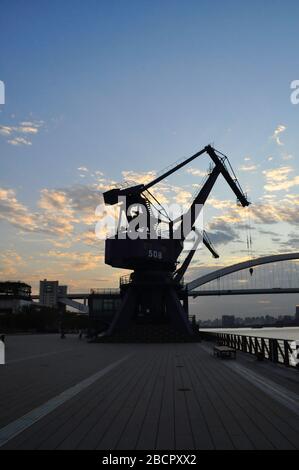 A large port crane on the Expo site in Shanghai, China. the black silhouette of the crane stands out against the blue sky. In the background you can s Stock Photo