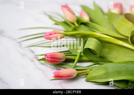 Closeup of beautiful pink tulips on a marble background on the table Stock Photo