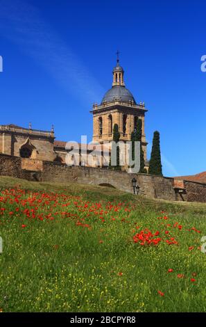 Ciudad Rodrigo, Salamanca District, Extremadura, Spain. The Baroque and Romantic style Cathedral. Viewed from beyond the city walls. Stock Photo