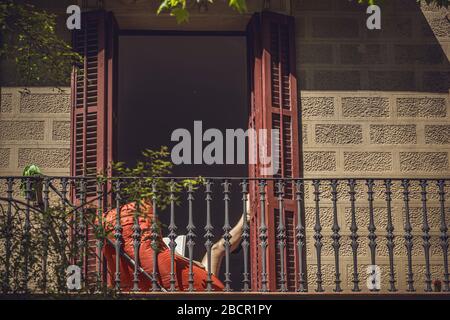 Barcelona, Spain. 5th Apr, 2020. A resident reads a book in the sun on her balcony at the beginning of the fourth week of a nationwide lockdown due to the continuous spread of the virus. Spain registered again over 700 fatalities at the third consecutive day of a falling daily death toll summing up to over 12000 in total. Credit: Matthias Oesterle/Alamy Live News Stock Photo