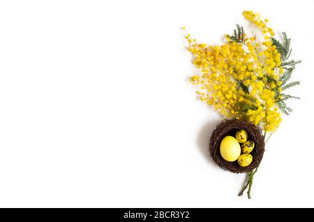 Easter eggs in a nest and branches of acacia flowers on a white background. Easter composition. Copy space, top view, flat lay. Stock Photo