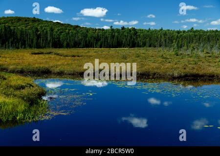 Algonquin Provincial Park Huntsville Ontario Canada. Stock Photo