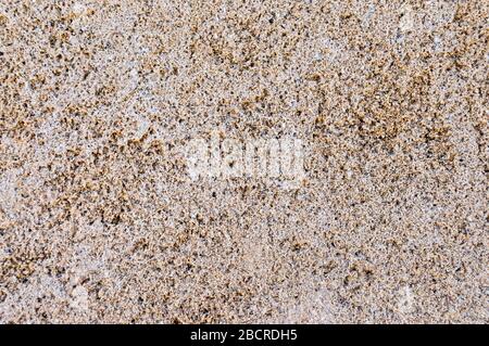 The background texture is a rough pale pink wall with a very grainy surface and many small protruding stones. Stock Photo