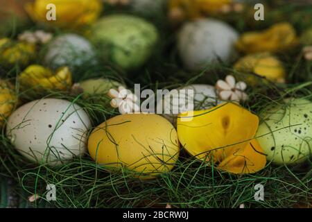 Festive Easter basket with multicoloured eggs on the table Stock Photo