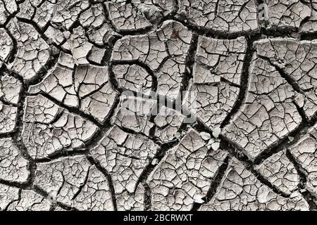 cracked soil surface after drought, image taken in middle summer Stock Photo