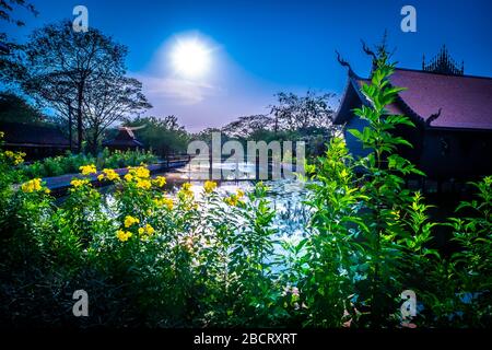 Thai houses ancient architecture for traditional residential along canal in Bangkok flower garden tree on foreground. Stock Photo