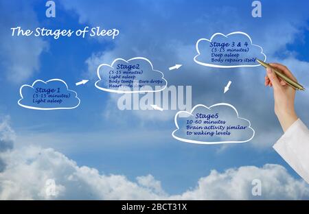 Four Stages of Normal Sleep Stock Photo - Alamy