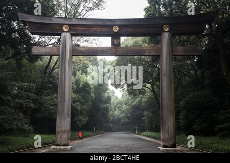 single woman in red coat and Torii gate in Tokyo Stock Photo