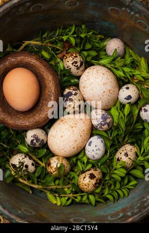 Vintage chicken,turkey and quail eggs in a copper bowl. Easter concept. Stock Photo