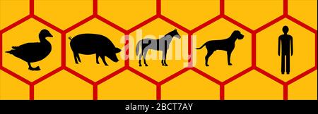 Graphic symbols of several mammals arranged in a row on one board. Stock Vector