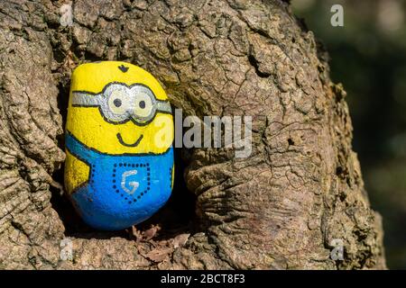The kindness rocks project, a pebble painted as one of the minions characters (Bob) from the Despicable Me movie franchise, in a tree hole, UK Stock Photo