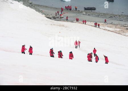 Tourists visit Danco Island Antarctic peninsular from the cruise ship MS Expedition Stock Photo
