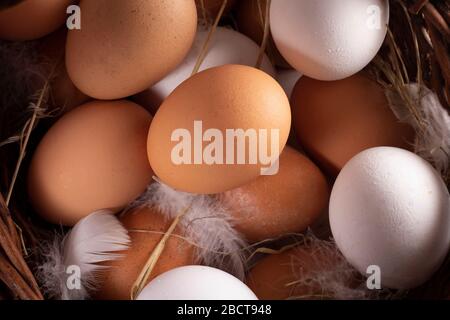 White and brown eggs from farm, basket with many eggs. Flat lay Stock Photo