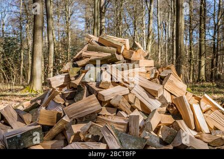 a pile of chopped beech firewood in the forest, Jaegerspris, Denmark, April 1, 2020 Stock Photo