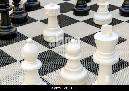 chess pieces stand on black and white squares. big chess. king, bishop, pawn, rook. chess concept Stock Photo