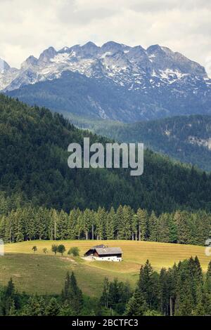 Isolated traditional house in a meadow in the middle of the woods in Austrian Alps, loneliness and quarantine concept, sunny summer day Stock Photo