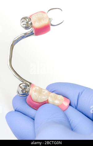 clasp denture on the lower jaw with supporting crowns in the hands of the dentist Stock Photo