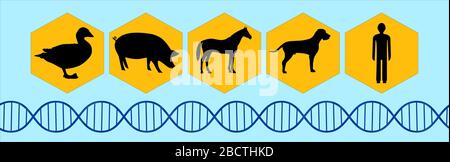 Graphic symbols of several mammals arranged in a row on one board. Stock Vector