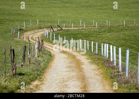 fenced winding field path through meadows, country side Stock Photo