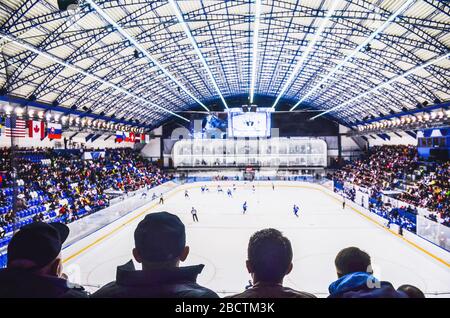 Hockey fan support team on the ice hockey stadium. Stock Photo